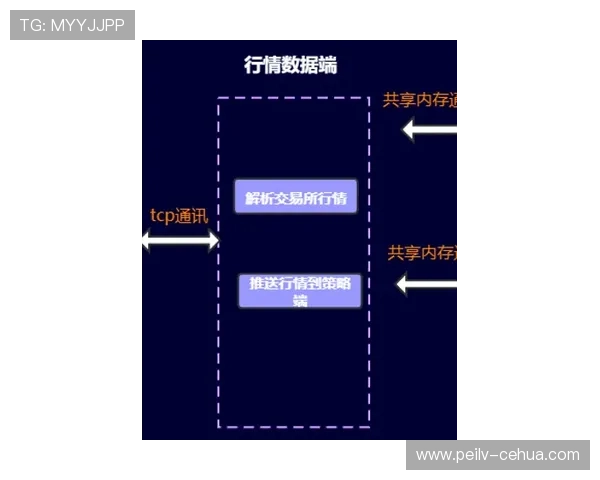 开云怎么买波胆避坑指南数字高频玩法防骗秘诀